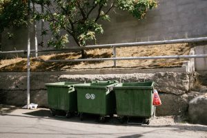 Organized Bins for Effortless Home Decluttering