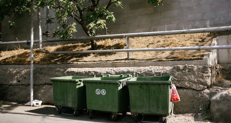 Organized Bins for Effortless Home Decluttering